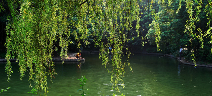 公園垂釣