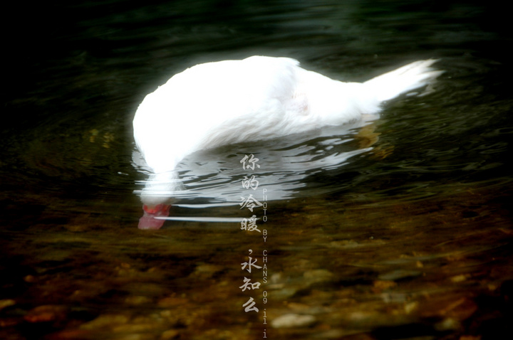 ůˮ֪ô[2]