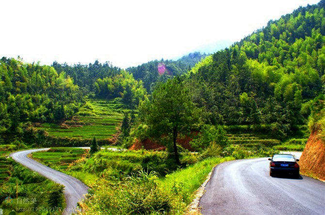 山路彎彎