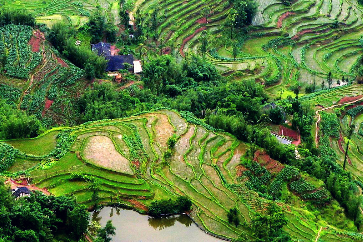 蜀南山鄉