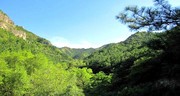 投入山的怀抱——辽宁朝阳凤凰山国家森林公园