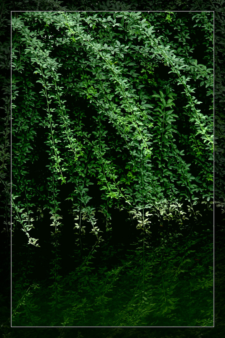 ϰ4