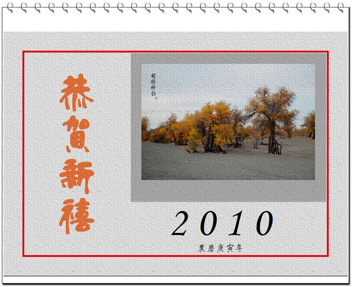 2010