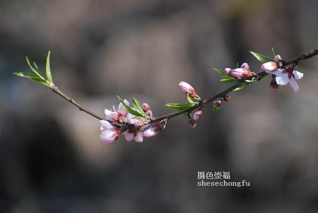 糺쾪