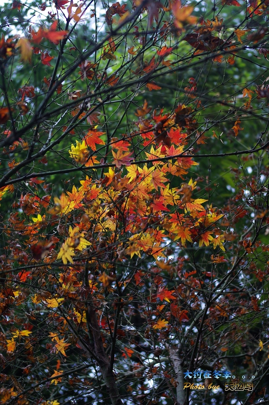 ֮