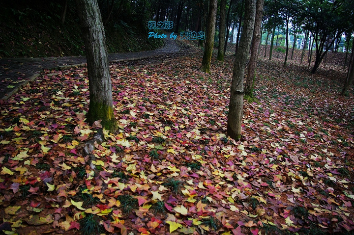֮