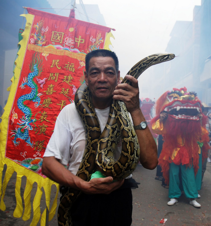 南平樟湖板镇蛇节图片