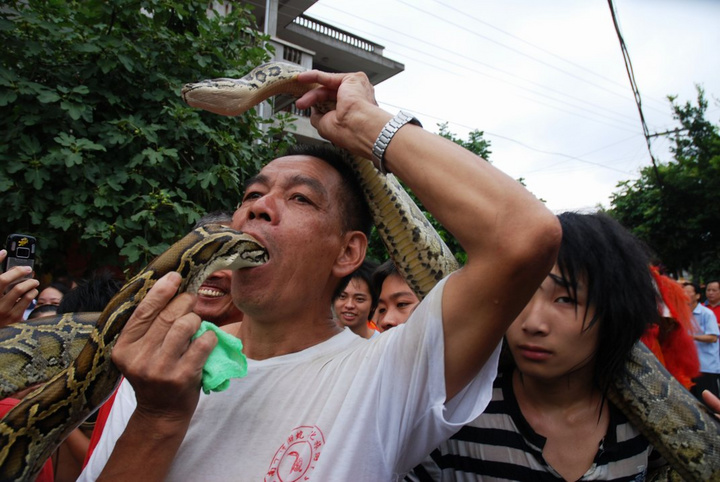樟湖蛇节图片