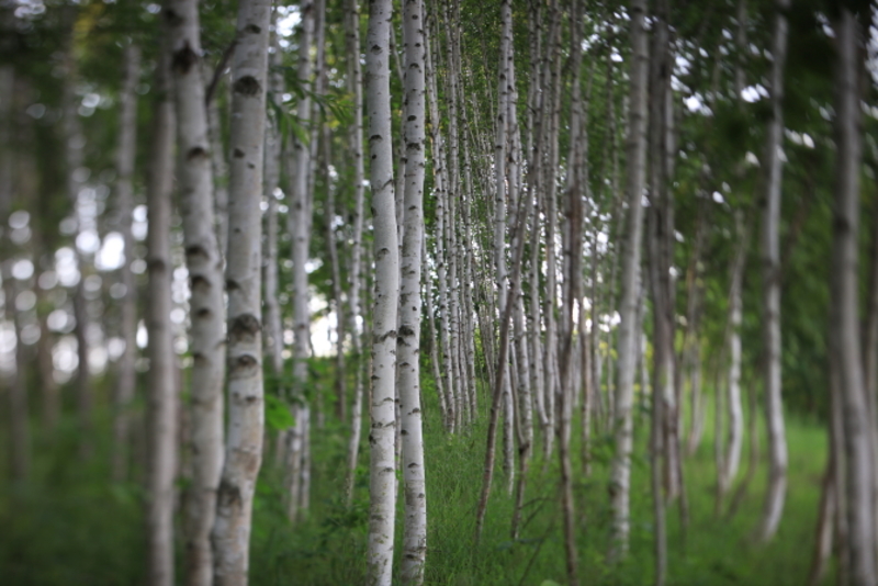 TS-E 50mm f/2.8L ΢ͼ