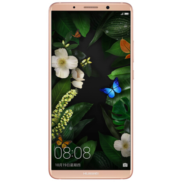 ΪMate10Pro 6GB+128GB ͼ