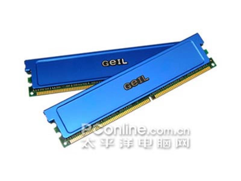 金邦白金256M DDR2 667 主图