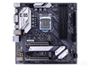 ߲ʺ CVN B365M GAMING PRO V20