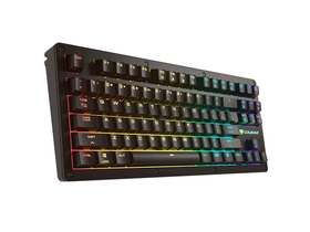 ٤PURI TKL RGB