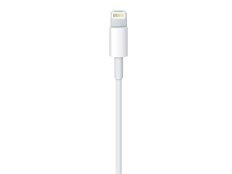 苹果闪电转USB连接线(1米)