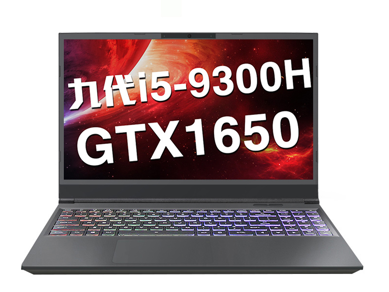 神舟战神Z7M-CT5VH(酷睿i5-9300H/8GB/256GB+1TB/GTX1650)