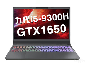 սZ7M-CT5VH(i5-9300H/8GB/256GB+1TB/GTX1650)