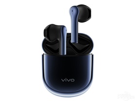 vivo TWS Earphone 