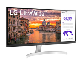 LG 29WN60045