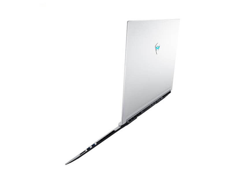 机械师F117-Bpro(酷睿i7-10750H/32GB/1TB/RTX2060/144Hz)效果图