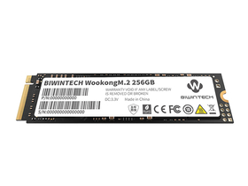 ΢WooKong 256GB M.2 SSD