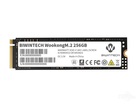 ΢WooKong 256GB M.2 SSD