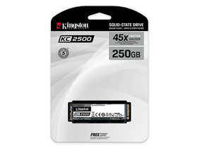 ʿKC2500 250GB M.2 SSD