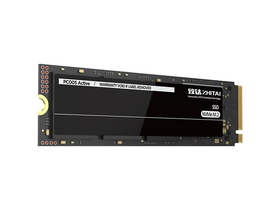 PC005 Active 256GB M.2 SSD45