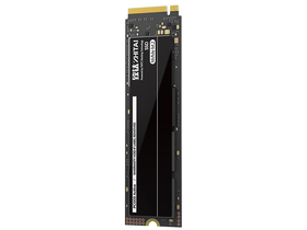 PC005 Active 256GB M.2 SSD