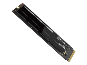 PC005 Active 256GB M.2 SSD