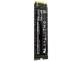 SC001 Active 256GB M.2 SSD