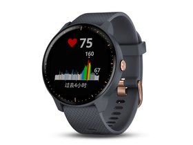  vivoactive3 Music