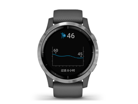  GarminActive