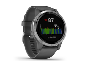  GarminActive