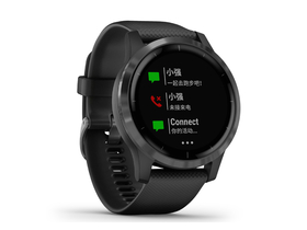  GarminActive