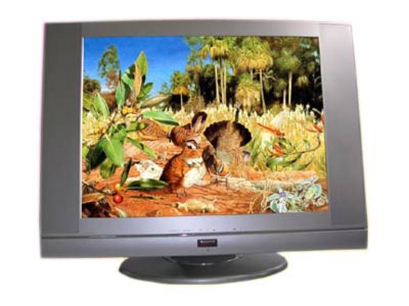 DOLL D-2008TV 屏幕图