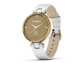 GARMIN LilyͼƬ1