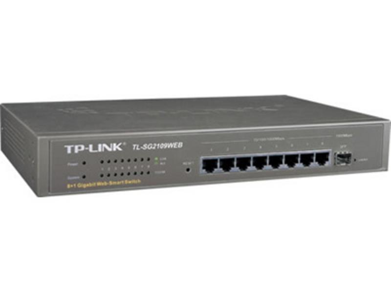 TP-Link TL-SG2109WEB 图片