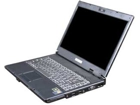 netbook N4W1(T2450)