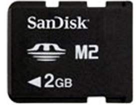 SanDisk MS Micro(M2/2G)