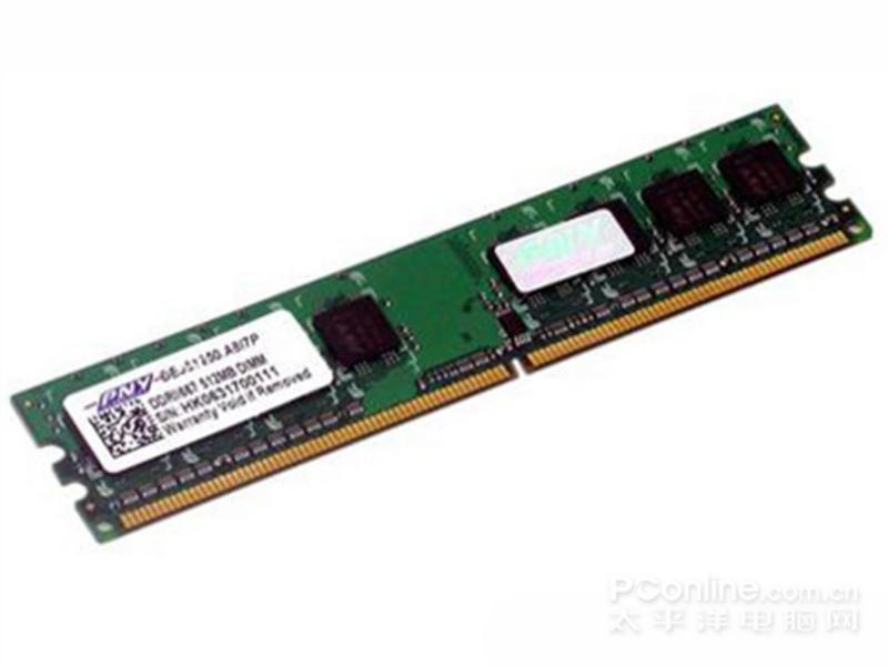 PNY 256M DDR2 667主图