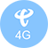 网络制式：电信4G