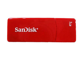 SanDisk 콷 1G