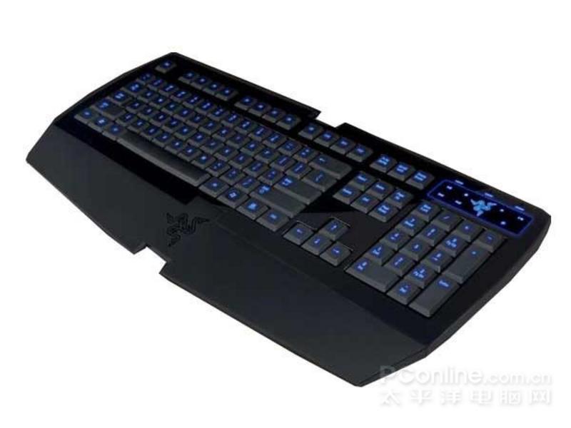 Razer 黑腹狼蛛主图