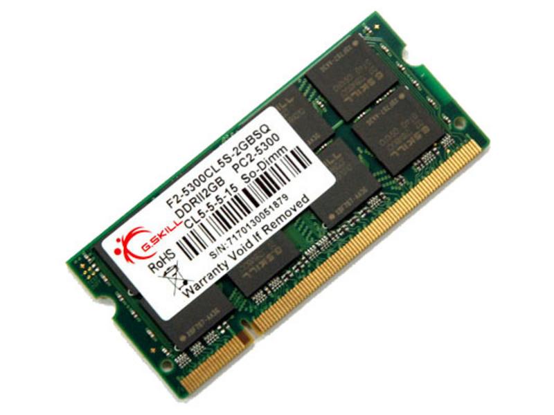 芝奇DDR2 667 2G(F2-5300CL5S-2GBSQ) 图片