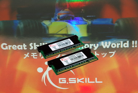 ֥DDR2 667 2G(F2-5300CL5S-2GBSK)ͼ