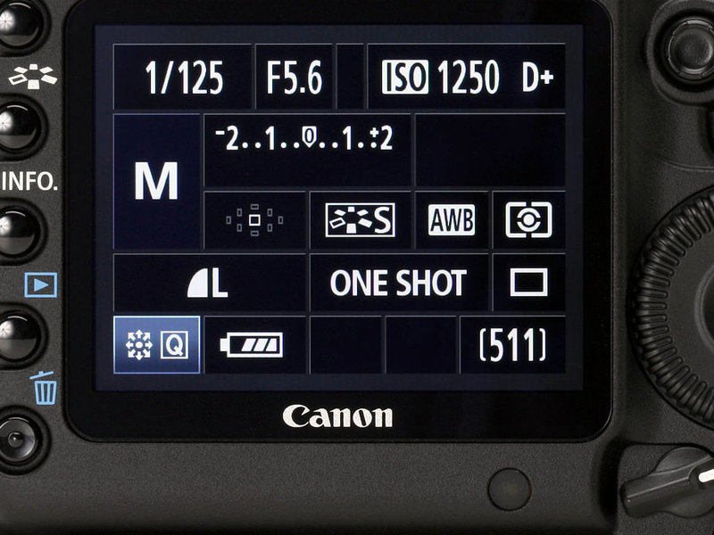 5D Mark II׻(24-105mm)ͼ