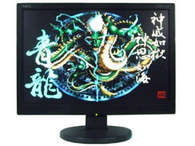 NEC Multi-Sync LCD175VX BKĻͼ