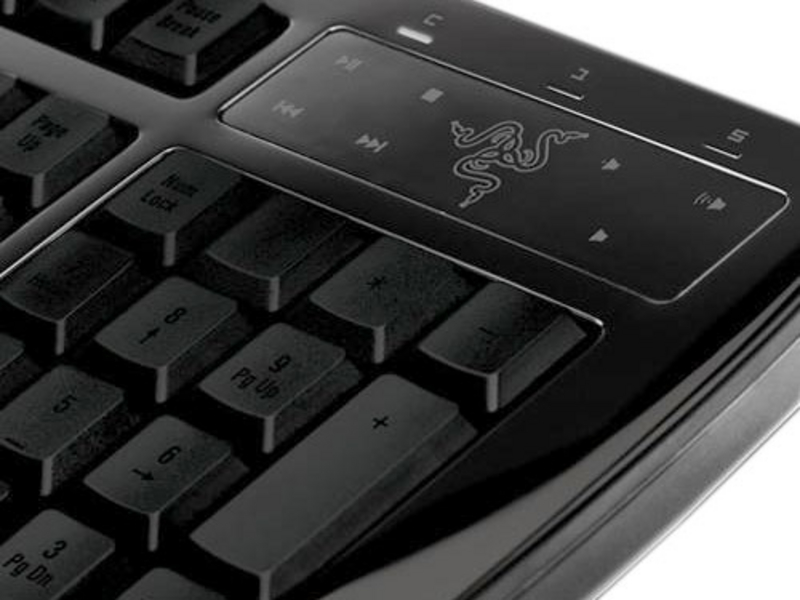 Razer 三齿熊蛛