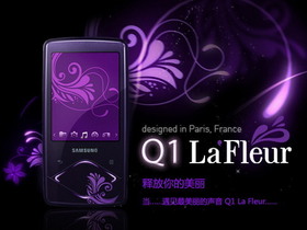 YP-Q1LaFleur 4G