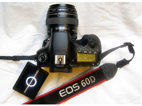 60D